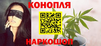 сатива Гатчина