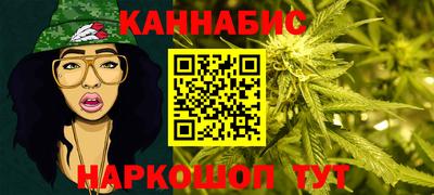 сатива Гатчина