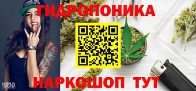 дживик Гай