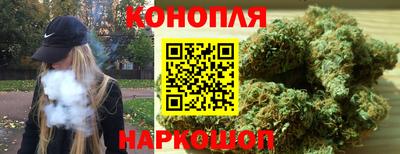 сатива Гатчина