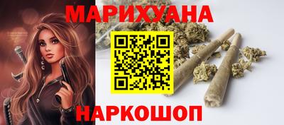 сатива Гатчина