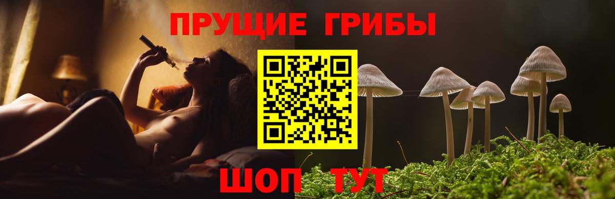 Галлюциногенные грибы MAGIC MUSHROOMS Мценск